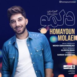 Homayoun Molaei   –   Delamo